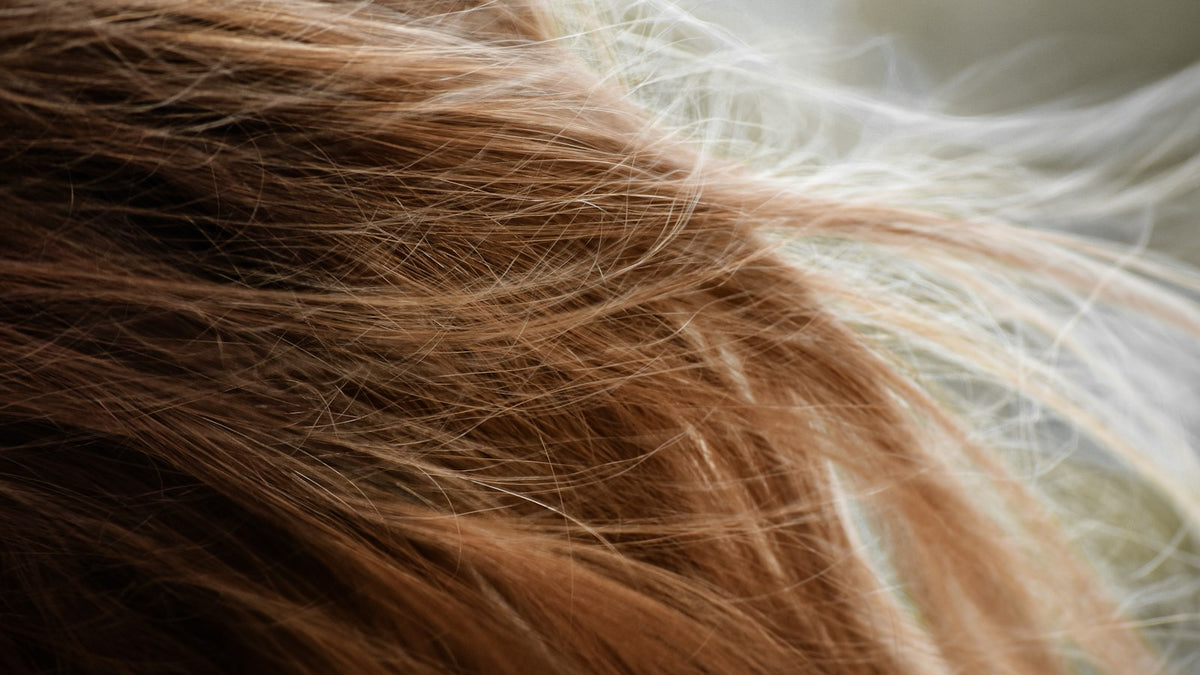 Lange braune Haarsträhnen auf hellem Stoff, Nahaufnahme der Längen und Spitzen