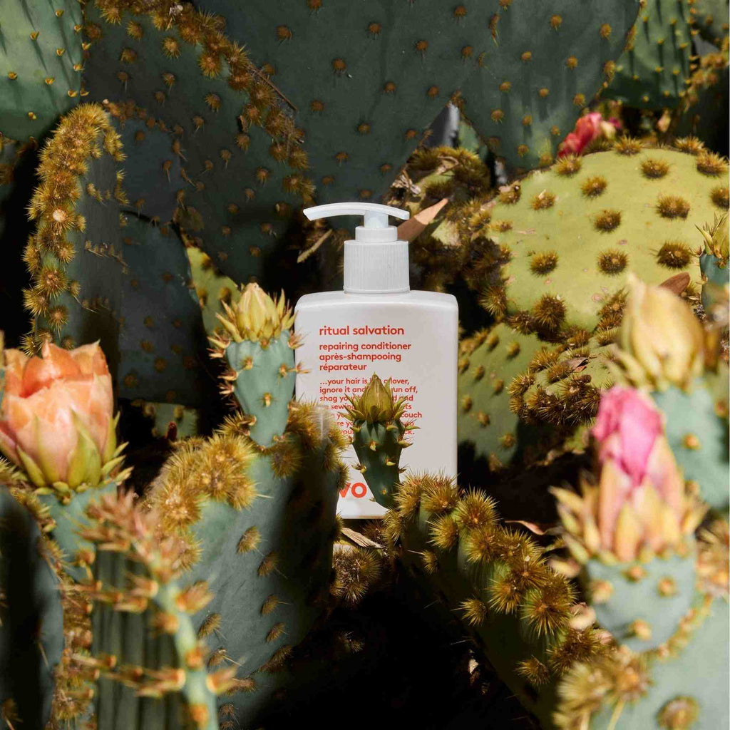 Evo Set Ritual Salvation Repairing Conditioner