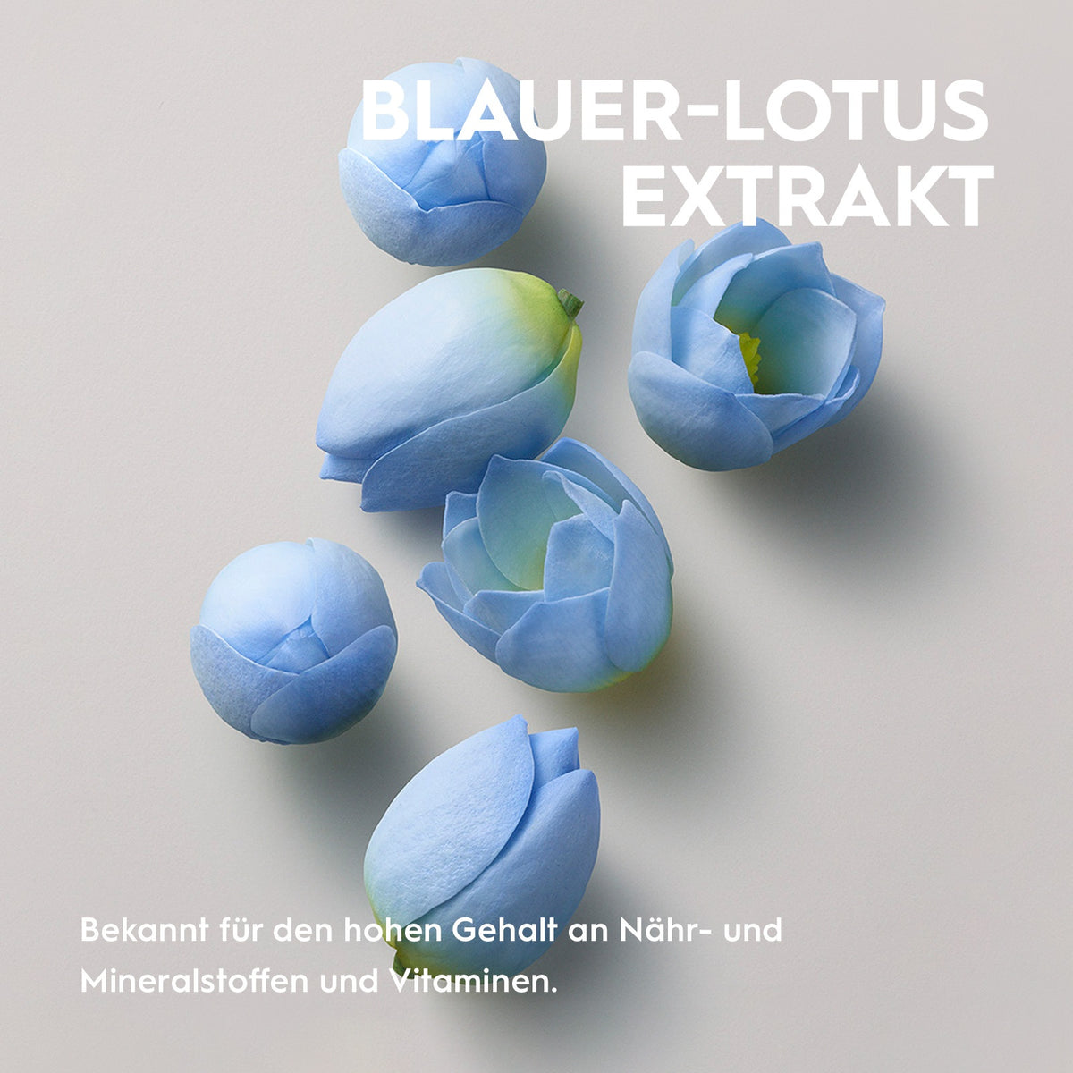 Kerasilk Volumen-Linie, Wirkstoff Blauer-Lotus-Extrakt