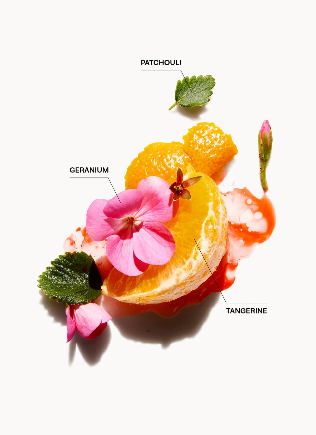 Duftnoten der Hydrate-Me-Linie: Patchouli, Zitrus, Blüten