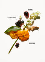 Duftnoten der Repair-Me-Linie: Mandarine, Maiglöckchen, schwarze Johannisbeere