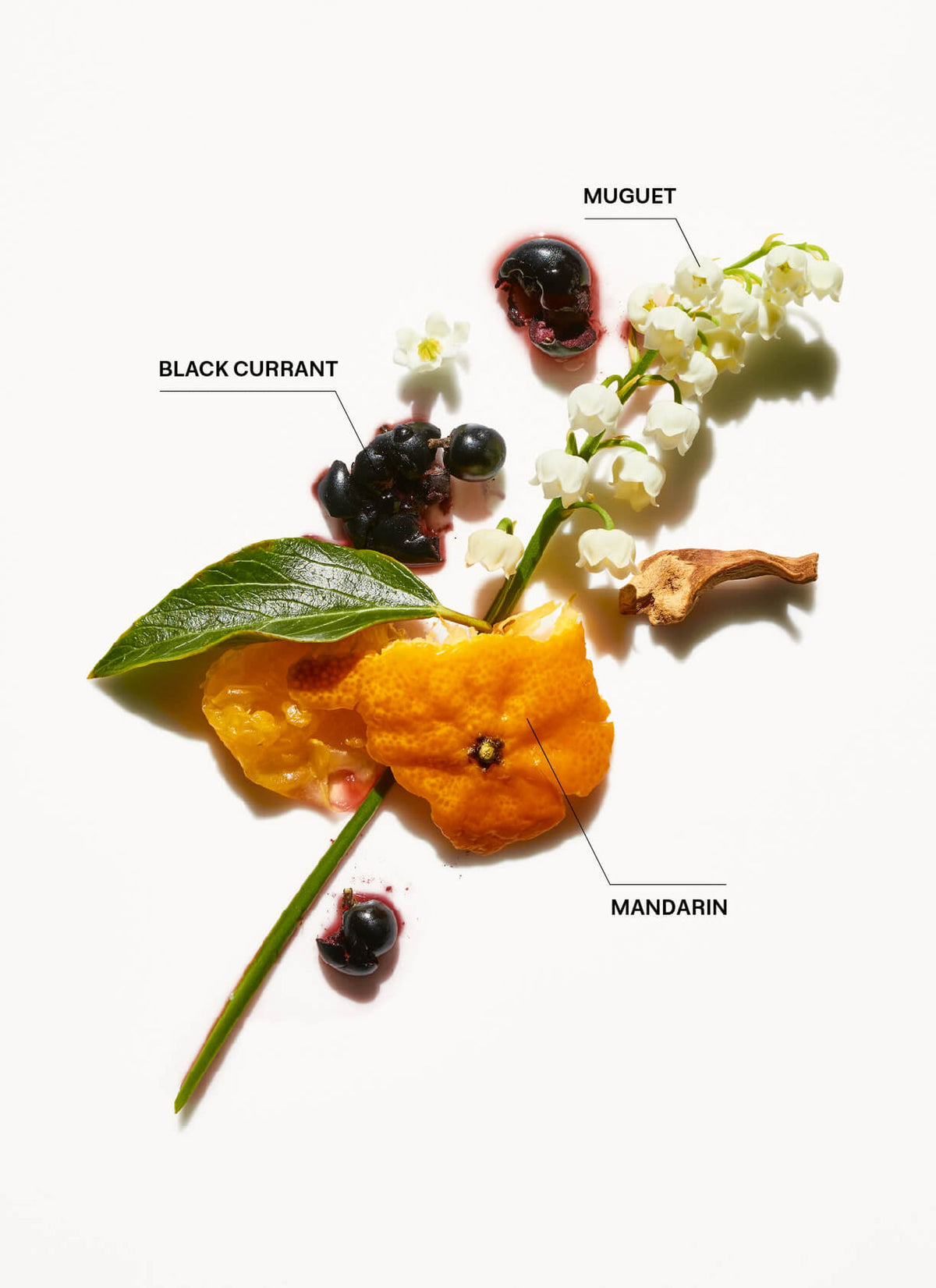 Duftnoten der Repair-Me-Linie: Mandarine, Maiglöckchen, schwarze Johannisbeere