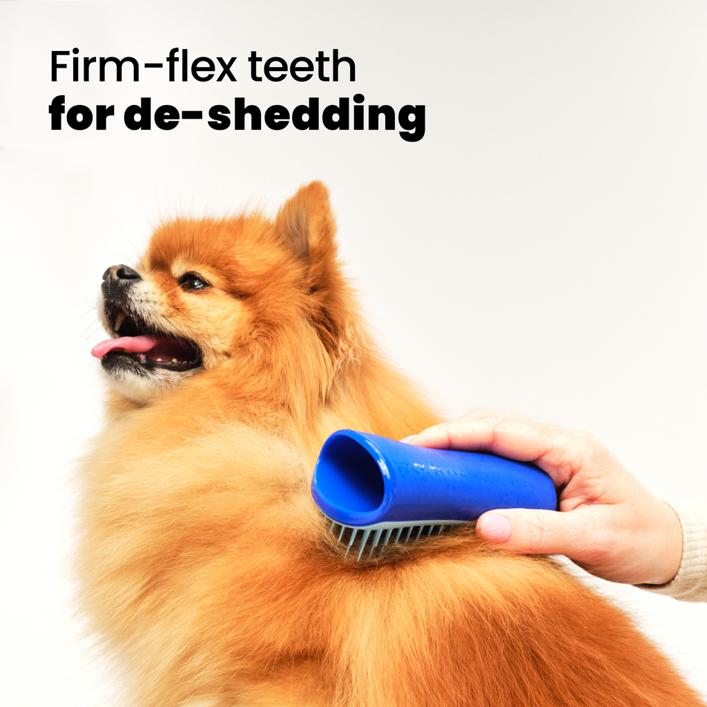 Hund wird mit dem Tangle Teezer Pet Teezer gebürstet