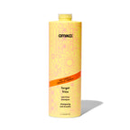 amika forget frizz anti-frizz shampoo – amika Haarpflege
