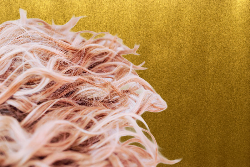 Coloration & Farbe