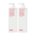 evo Set mit 2 × Mane Attention Protein Treatment 1000 ml