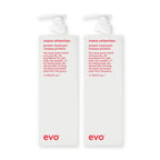 evo Set mit 2 × Mane Attention Protein Treatment 1000 ml