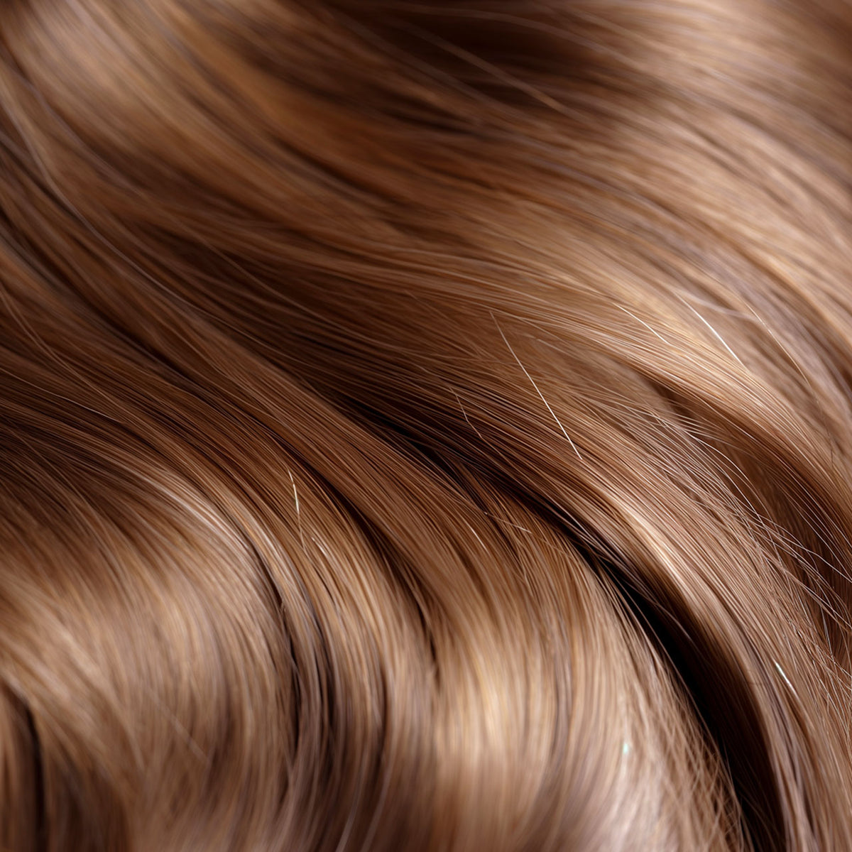 Maria Nila Gloss Collection 8.43 CG – Farbmuster am Haar