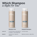 ORIGINAL Awapuhi Shampoo Paul Mitchell