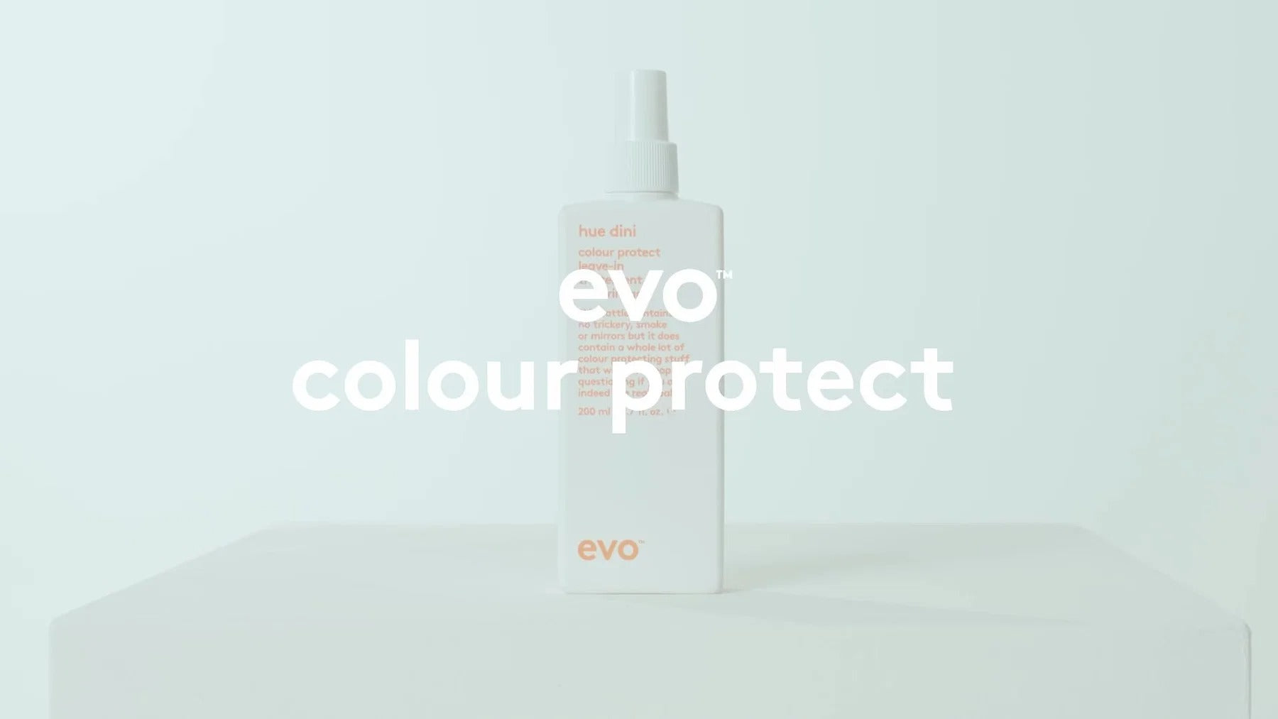 Evo Hue Dini Colour Protect Leave-In Evo Hair