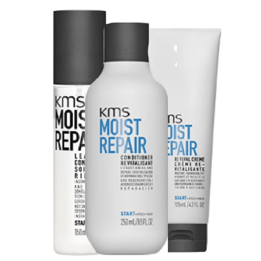 KMS MoistRepair – Feuchtigkeit und Reparatur