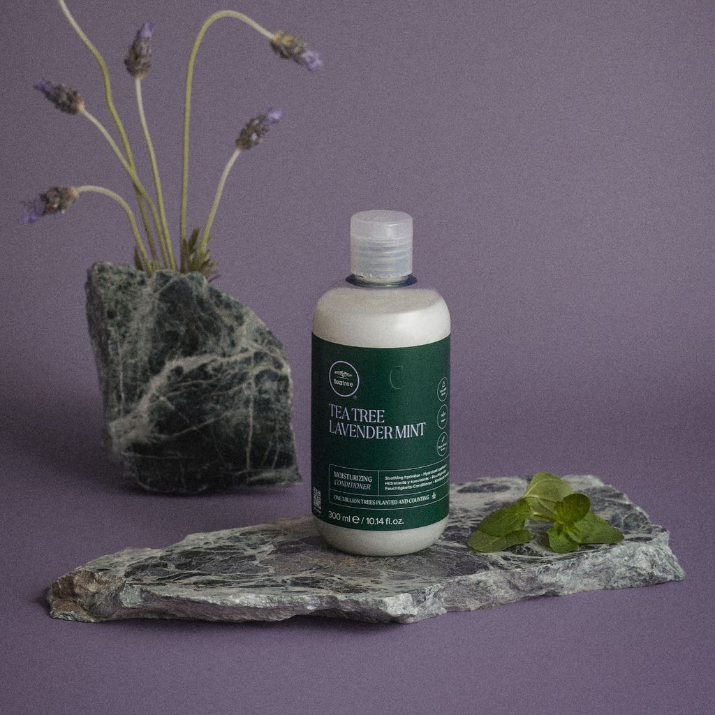 Paul Mitchell Tea Tree Lavender Mint Moisturizing Conditioner mit Lavendel und Minze