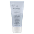Paul Mitchell Awapuhi Wild Ginger HydraSoft Shampoo 75 ml