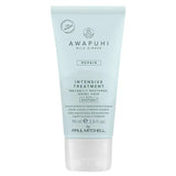 Paul Mitchell Awapuhi Wild Ginger Repair Intensive Treatment