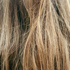 Trockenes, strohiges Haar in Nahaufnahme