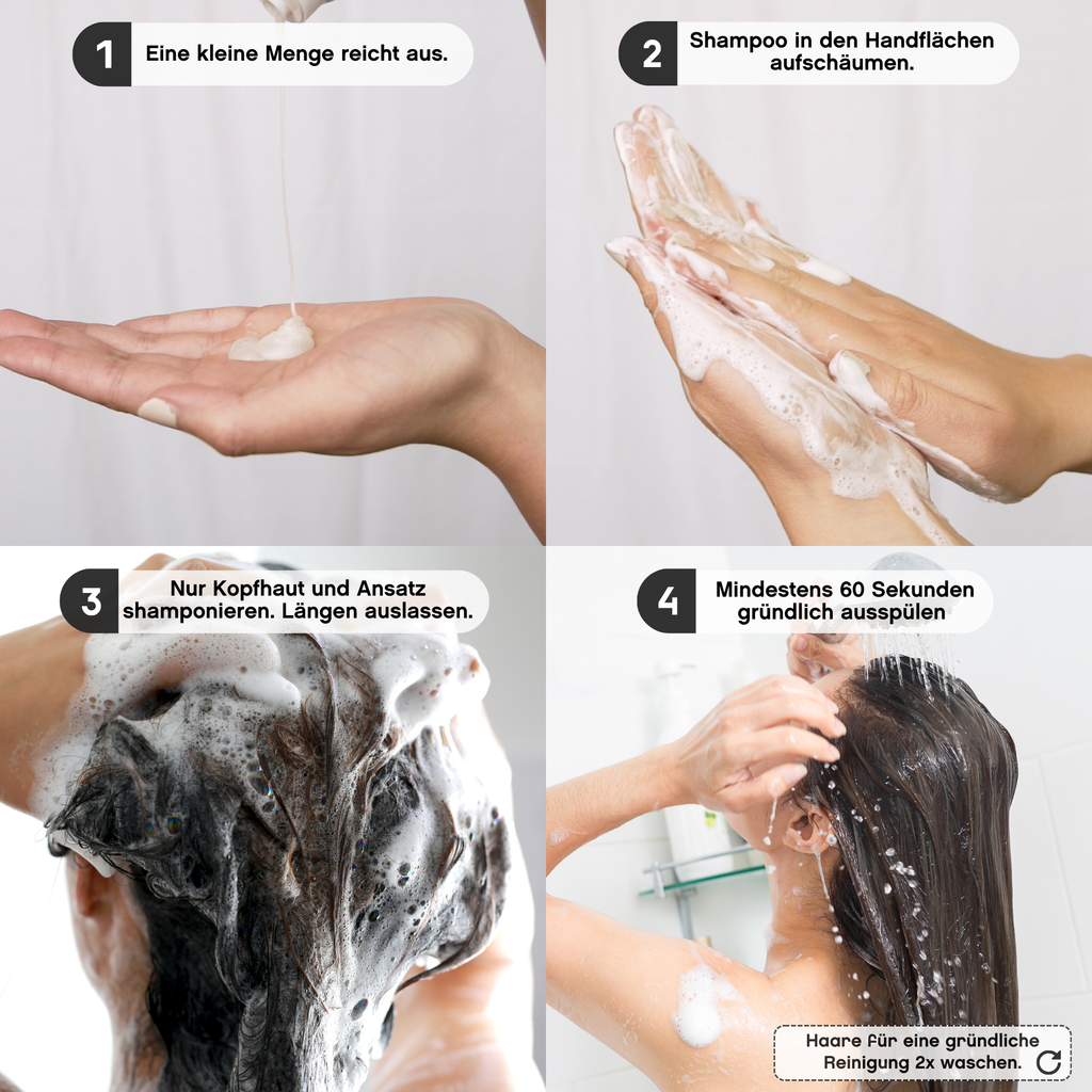 Anwendung des Shampoos in vier Schritten