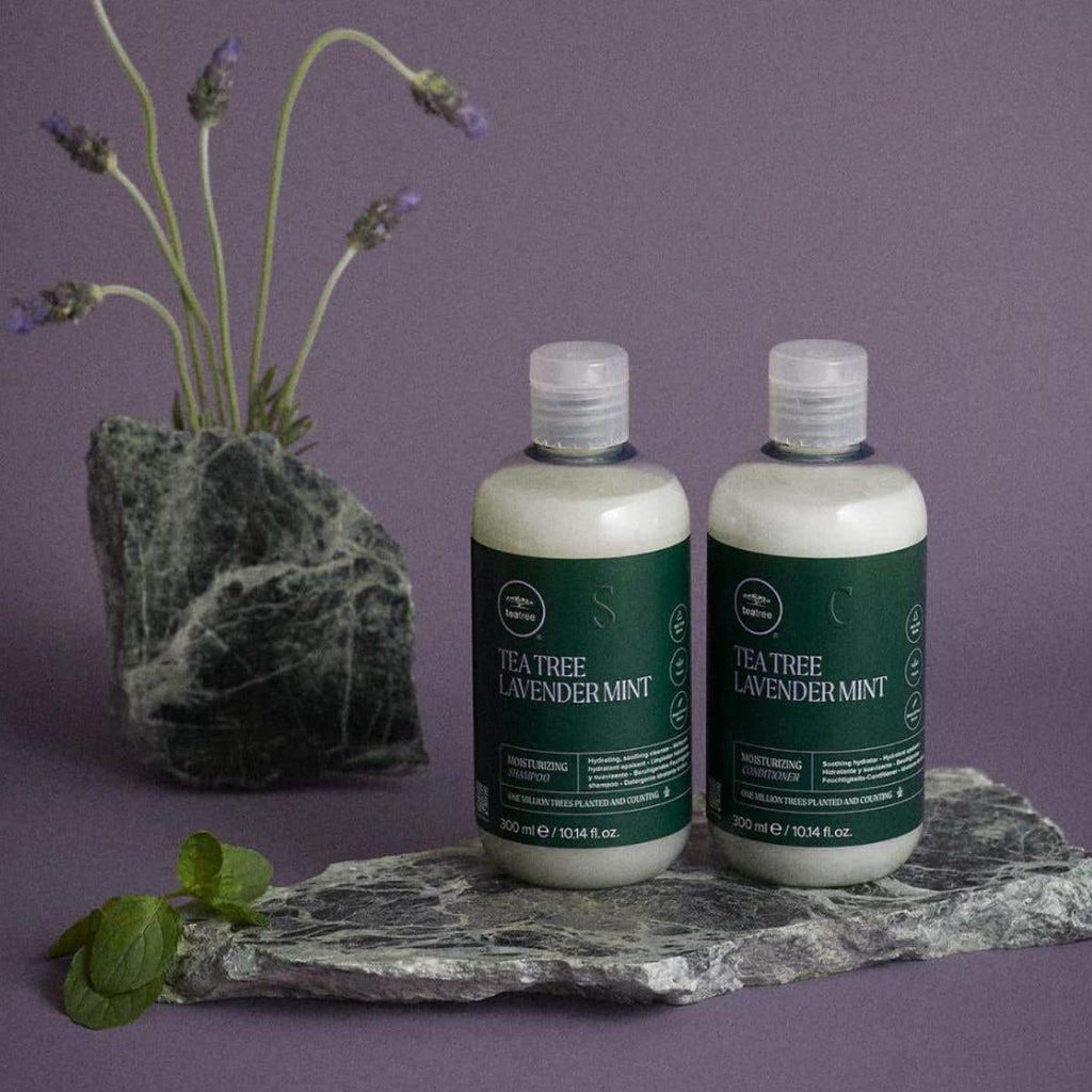 Paul Mitchell Tea Tree Lavender Mint Shampoo und Conditioner im Badezimmer