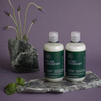 Paul Mitchell Tea Tree Lavender Mint Shampoo und Conditioner im Badezimmer